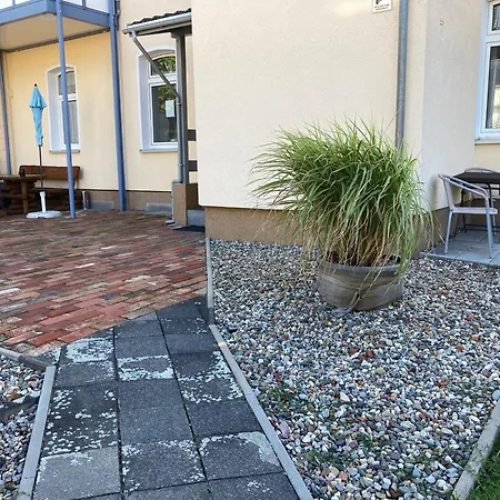 Abelia Groef * Helmstedt