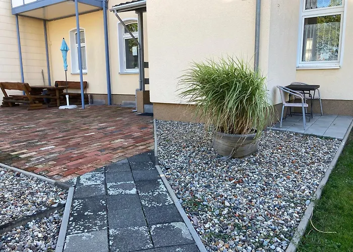 Abelia Groef * Helmstedt